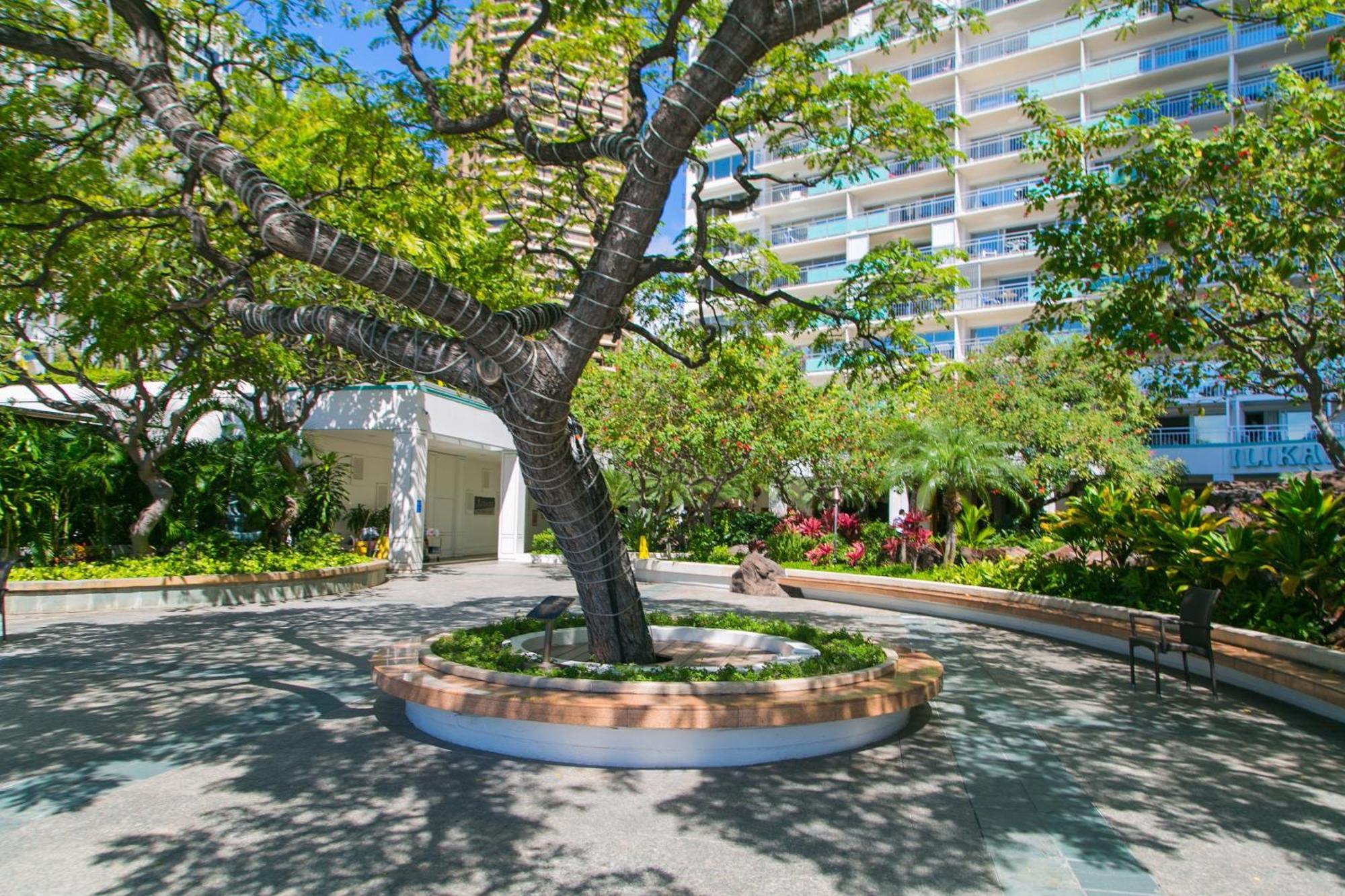 Ilikai Tower 931 Yacht Harbor View 1Br Apartment Honolulu Bagian luar foto
